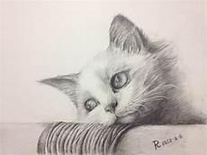 猫怎么画简单图片可爱